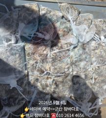 4일 군산 쭈 조황입니다. [군산 참바다호]