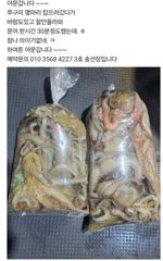 [사천] (((해림3호)))오후 조업 다녀왔습니다 사진