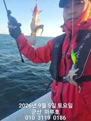 9월5일 쭈꾸미 실시간 조항~☆