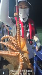출조안내 - 녹동돌문어 날마다 대박조황 ~~ 사진