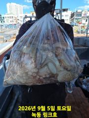 [고흥,녹동] 9/5일 주간 문어 조황입니다