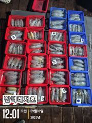 [팁런]무늬.100수는 가볍게 넘기고 (월요일 16시,출항)