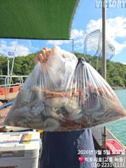 (南)남해조황 - 5일 문어 조황 소식 전해드려요 사진