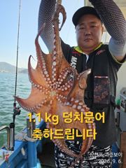 삼천포 마린보이 9. 6. 일요일 주간문어 뜯으로 출항합니다.