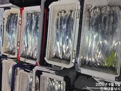 와~내만칼치 3지까지 엄청나게 퍼담고 대박조황~일,월,화욜예약가능