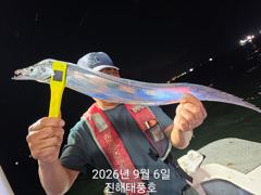6일 입항, 내만갈치 담배갑 사이즈까지 엄청 잡았습니다. 월요일부터 예약가능.