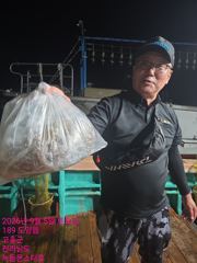 출조안내 - 9월 6일 골드로저호 주꾸미 조황입니다 사진