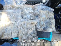 오늘의조황 - [홍원항 타이탄호] 9월5일(토) 말이 필요없는 조황 - 홍원항 타이탄호