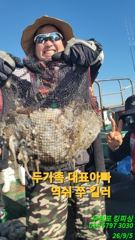 1시간전 [진해] 9/6 돌문어 중치급 손맛 보시고 제법잡고.. ( 내일예약가능 )