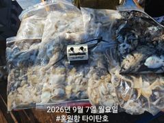 오늘의조황 - [홍원항 타이탄호] 9월6일(일) 야들야들 하지만 손맛은 일품인~ - 홍원항 타이탄호