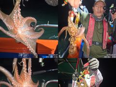 [진해] 7일 조항. 오늘도 굵직한 야간~돌문어 마리수 잡으러 출조 …
