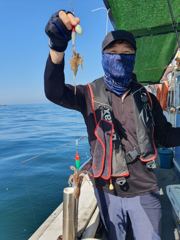오늘의조황 - 8일 뉴프린스호 쭈꾸미 조황 입니다 - 마량포낚시,배낚시,선상낚시 사진