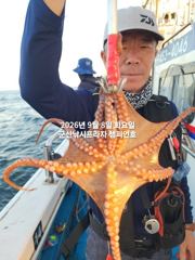 8일, 주간문어 210수 넘었다~장원이 17수, 전원 손맛~부쩍 커진 문어 굿굿~내일도 출조합니다~~~군산 챔피언호