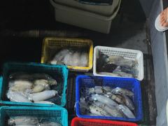 (南)남해조황 - 무늬팁런 오늘도 3자리는 가뿐하게 사진