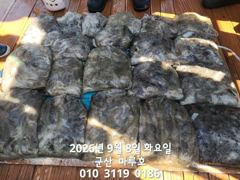 출조안내 - ●금일 리더호꽃게한자리 생겼네요●■ 사진