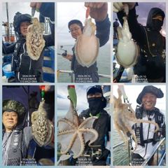 [무창포아파치호]9월10일(목),쭈꾸미들따박따박,마릿수의망태기푸짐한조황.다음주화,수요일(15일,16일)자리여유,예약문의는010-8422-0866