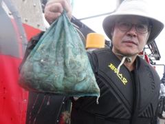 조황사진 - 9월10일 조황 - 인천배낚시 주꾸미 배낚시 전문 인천우리바다낚시-인천 쭈꾸미 갑오징어 선상바다낚시