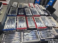 우~~와,10일새벽,씨알큰칼치어마어마하게 미친피딩역대급 초초대박~일욜예약가능~ 사진