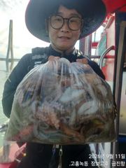[고흥,녹동] 사리물때 녹동돌문어 풍성한조황~