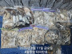 오늘의조황 - [홍원항타이탄호] 9월11일(금) 사릿물때 우려와 달리 갑쭈 잘잡고 왔습니다. - 홍원항 블랙펄호,배낚시,바다낚시,광어 다운샷, 참돔 타이라바, 백조기, 주꾸미, 갑오징어, 우럭