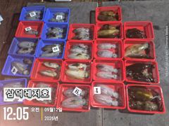 [통영] [팁런] 감자는 가라 "싸이즈""굿",마리수 (일요일,출항)