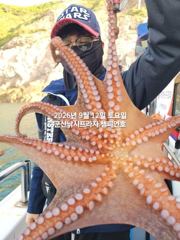 12일, 군산주간~부쩍커진 문어들~싸이즈 굿~실시간~내일도 출조합니다~군산 챔피언