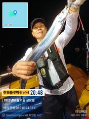 [진해] 준내만갈치)입항조황입니다 ~(내일 일요일 예약가능합니다)