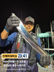 [진해] [갈치/텐빈/텐야]긴휴식끝~2.5~3지오버까지 쿨러조황까지[월.…