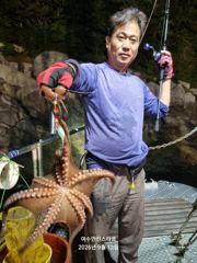 (南)남해조황 - [ 여수만진스타호 ] 2호 새벽문어 대사리기간이지만 대박입니다 !! 오늘 밤 자리여유~~ 사진