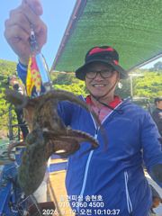 [통영] 통영 송현호))돌문어 실시간 느나 느나 마리수~