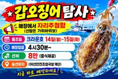 <썬스타> 오전 쭈꾸미 마무리(12일)