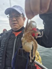 9월12일쭈꾸미갑오징어조황