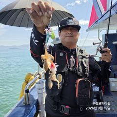 쭈꾸미~♪ 9 .12( 토요일 ) [[[ 무창포프로낚시 ]]] <<<<< 빅 마 린 >>>>> 쭈 꾸 미 조황보고....