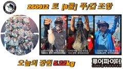 쭈.갑 먹물조황+ - 2026년9월11일(7물) 까치선장 자이언트호 쭈/갑 300수, 250수, 200수 오바 조황