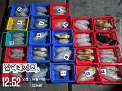 [팁런] 감자는,가라,오늘도 씨알로"굿.굿,굿""(일요일,소수인원,황제낚시,)