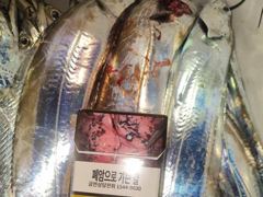 [진해] 내만갈치씨알좋아진3지급까지쿨러만당오늘고~~