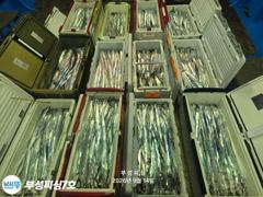 [부성피싱]먼바다 왕칼치 오늘도 다녀왔습니다 쿨러가득...쿨러조황!!내일 화요일 자리여유 사진