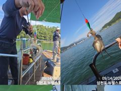 쭈꾸미 좋아요~~물때도 좋아지고~ 삼천포 뉴펄스호 예약중