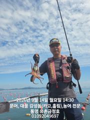 통영 금정호 오후문어선상 마릿수 손맛 시작합니다 내일오전 자리있어요 사진