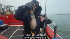 9/14 월 [10물] 쭈꾸미/갑오징어 11명 조항 입니다.
