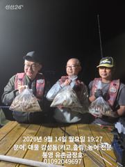 통영 금정호 오후문어선상 마릿수 좋습니다!! 내일오전타임 자리있…