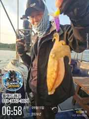 [사천] 아직은 시작이지만… 갑오징어 분위기 올라옵니다(내일 출조 확정)
