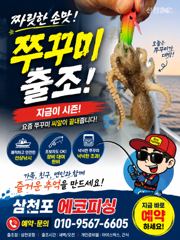 문어, 쭈꾸미 출조 출항일자 필독!!! 제수용 문어 출조합니다
