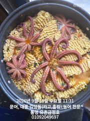 통영 금정호 오전문어선상 마릿수손맛 좋습니다!! 내일과 주말 자리여유있습니다 사진