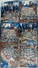 돌문어 내일7자리여유 현재 잘 나오고 있다고 합니다. 장원30수~20수로 바람에도 잘 나오고 있습니다. 주말도 자리여유 많습니다. 남녀노소 누구나 좋... 사진