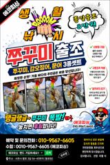 18일)쭈꾸미 출조모집 기본 80수 콕콕