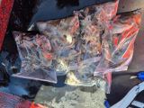 9월17일인천배낚시덕적호쭈갑조황사진2부