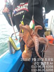 [군산] 19일 월명호 쭈꾸미 오전반 실시간 문어다 문어