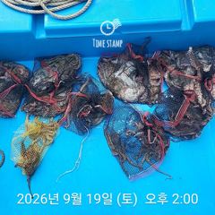 삼천포 내만권 문어