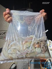 18일 오후반 조황 올려드려요 사진